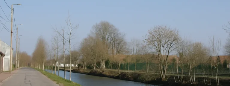 Vue sur le canal de Leers et ses arbres, zone d’intervention d’Élagage Tourcoing
